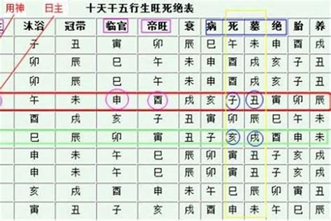 身旺身弱|身旺与身弱的辨别(初学者入门必备)